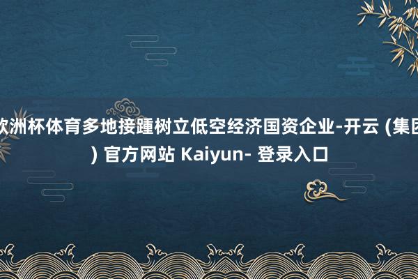 欧洲杯体育多地接踵树立低空经济国资企业-开云 (集团) 官方网站 Kaiyun- 登录入口