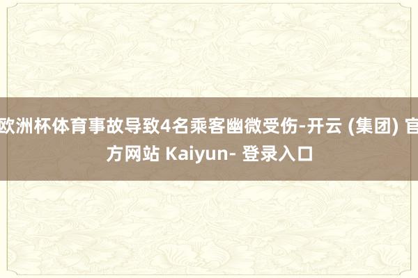 欧洲杯体育事故导致4名乘客幽微受伤-开云 (集团) 官方网站 Kaiyun- 登录入口